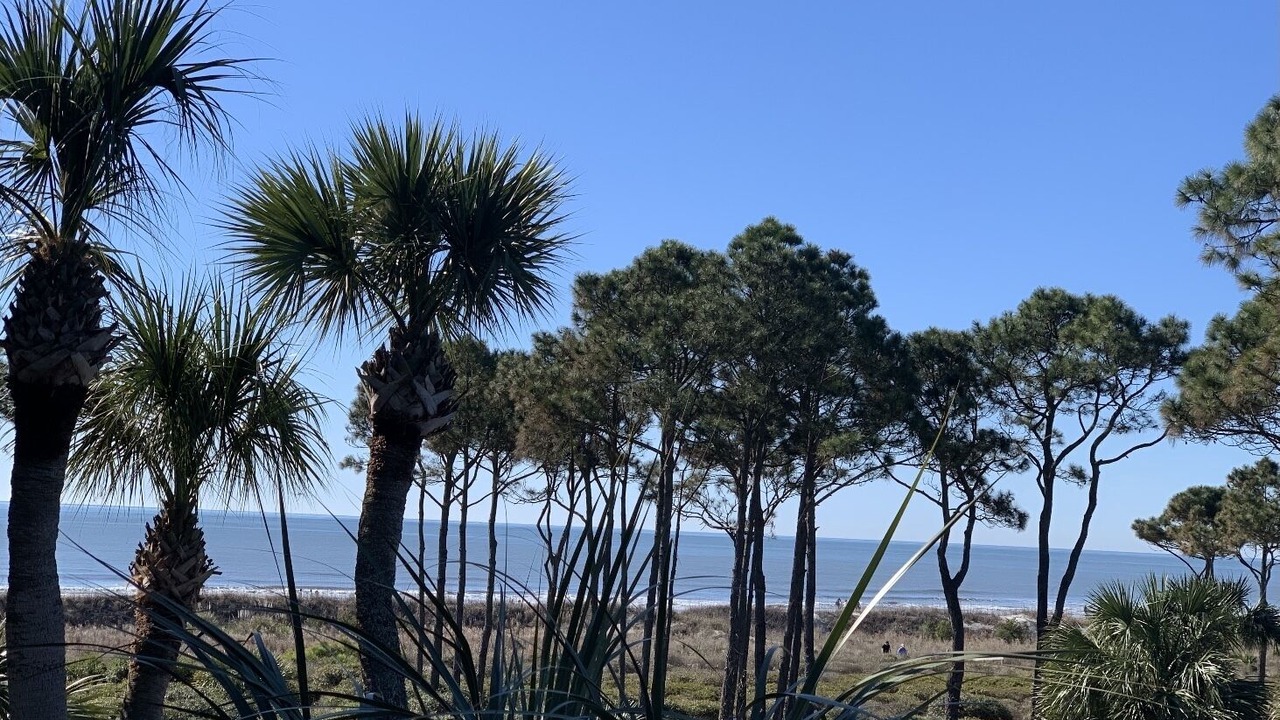 Photo of Others in Hilton Head Island