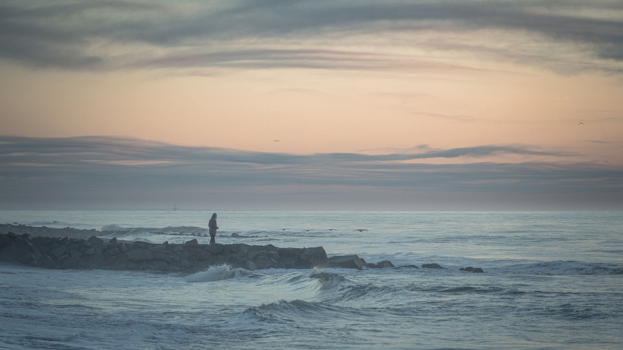 Photo of Others in Edisto Island