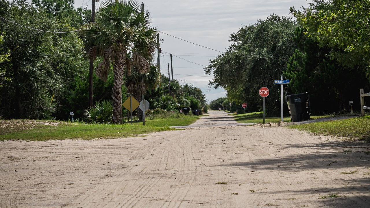 Photo of Others in Edisto Island