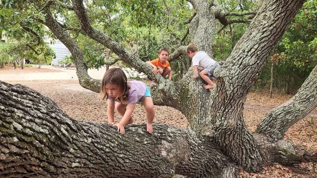 Photo of Others in Edisto Island