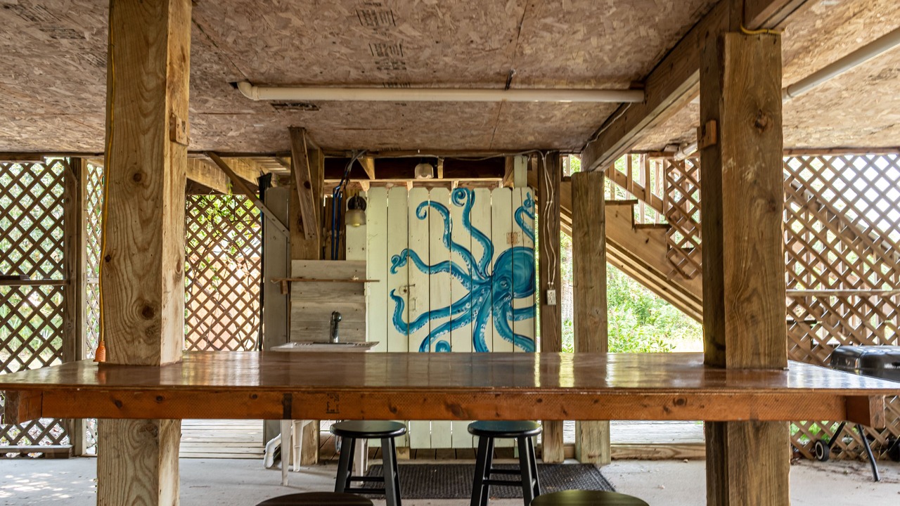 Photo of Outdoor in Edisto Island