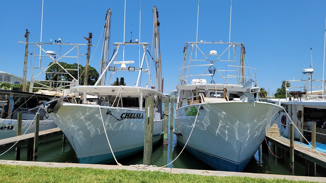 Photo of Others in Madeira Beach
