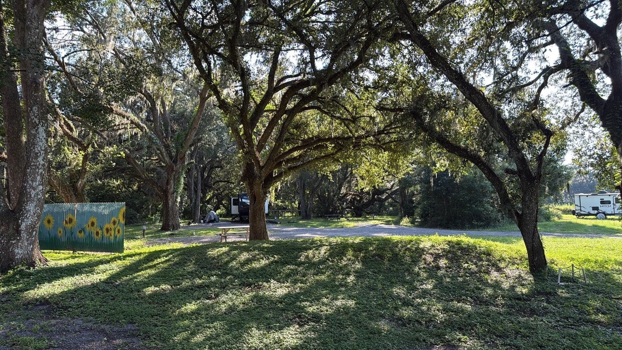 Photo of Outdoor in Zephyrhills West