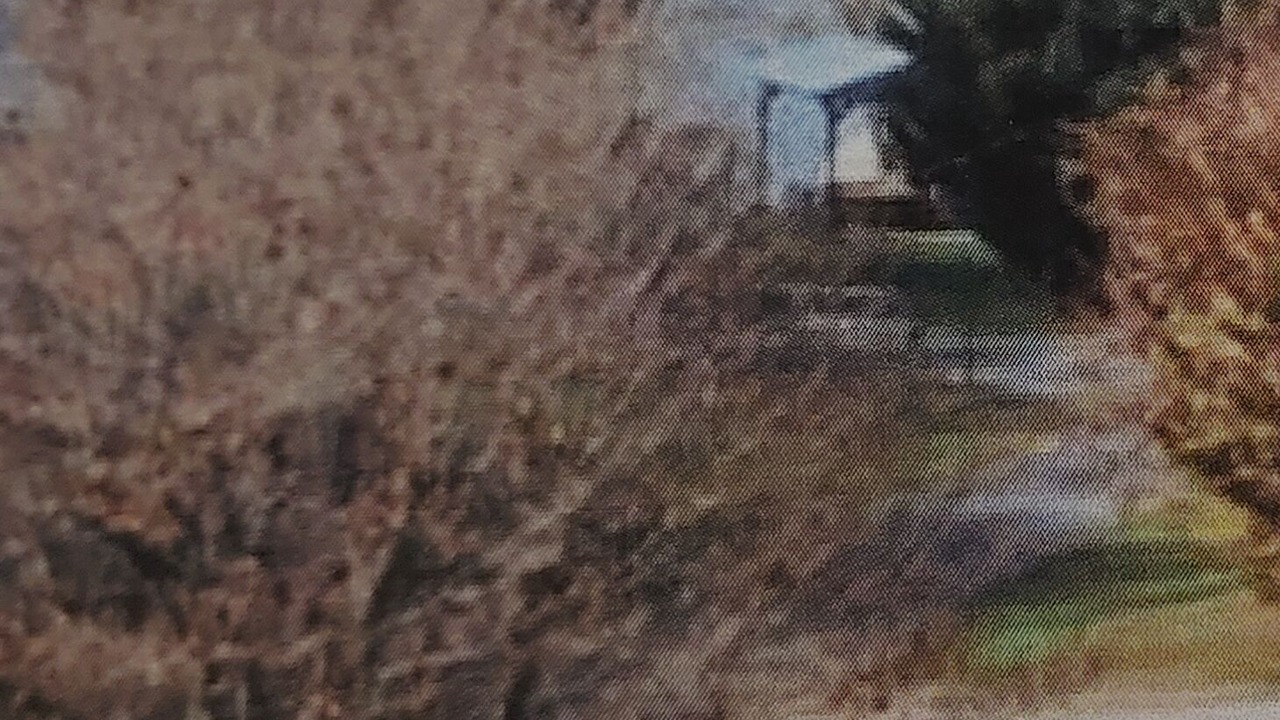 Photo of Outdoor in Elf
