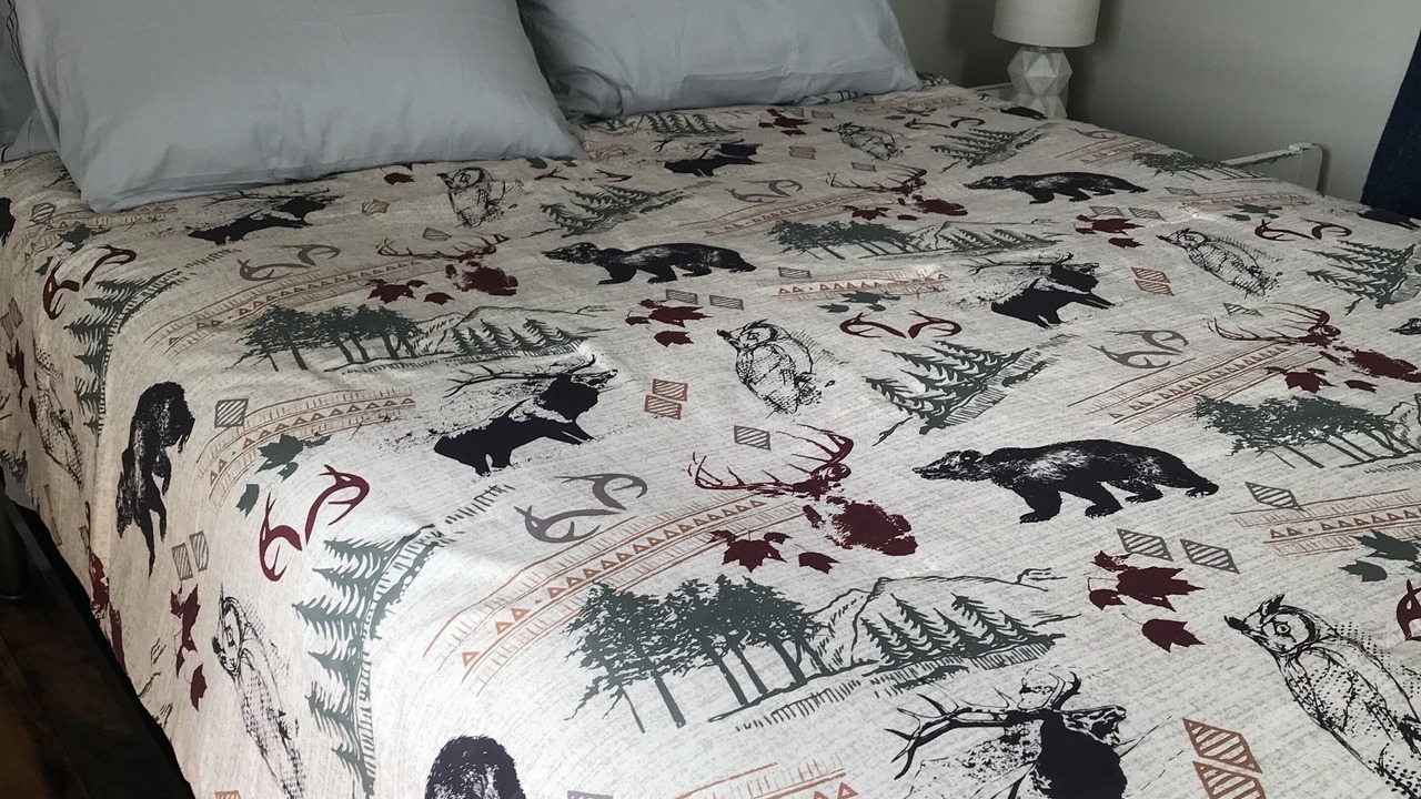 Photo of Bedroom in Cleveland