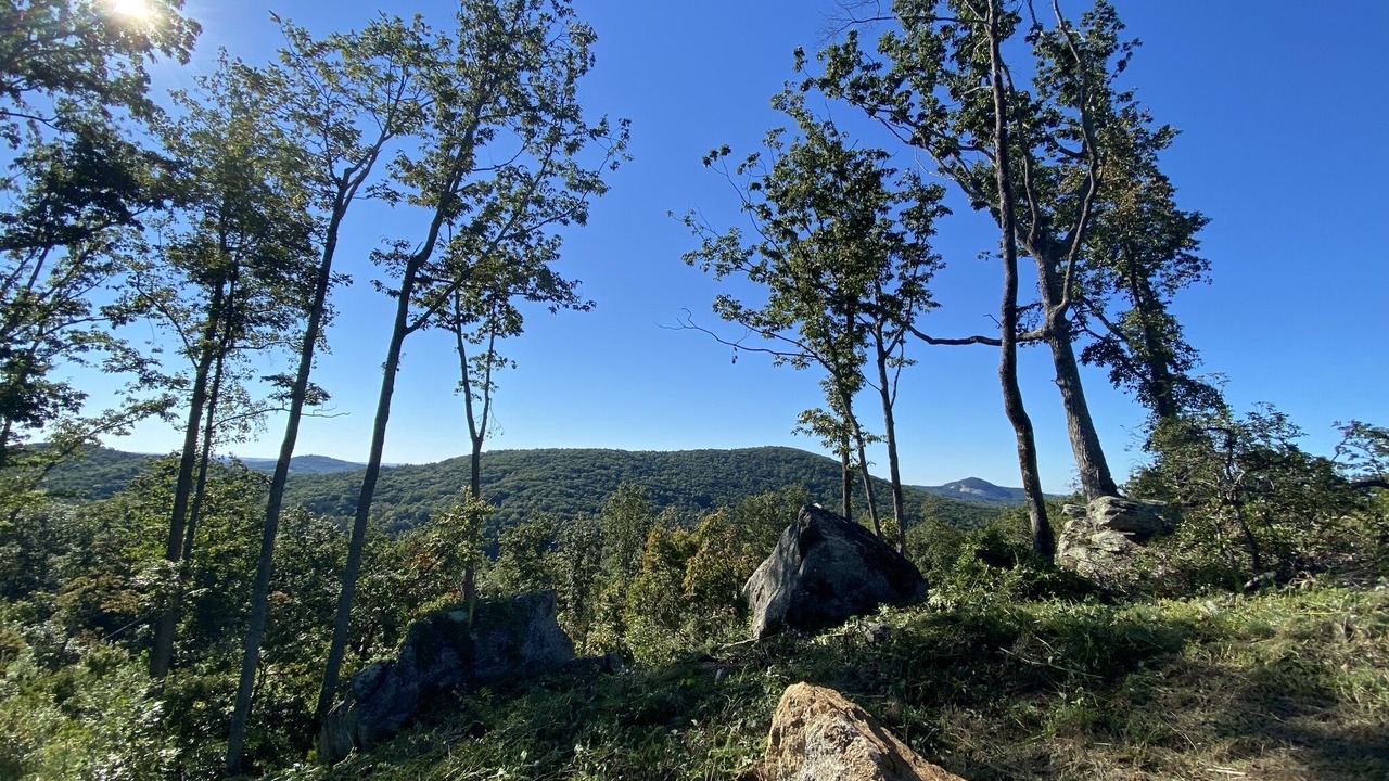 Photo of Outdoor in Pickens
