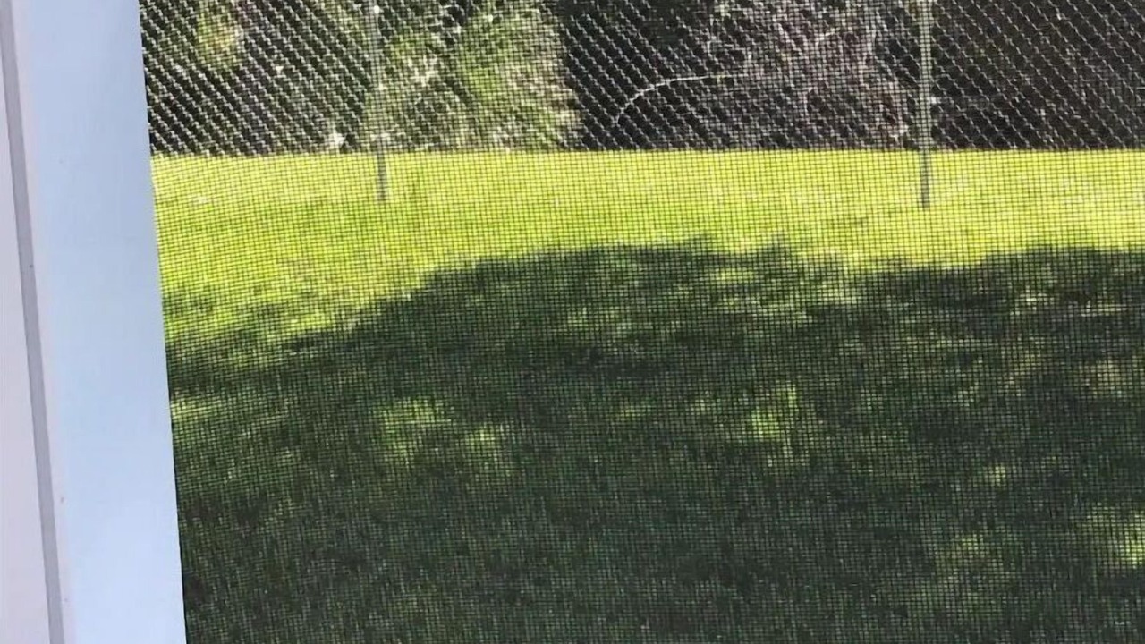 Photo of Outdoor in Port Charlotte