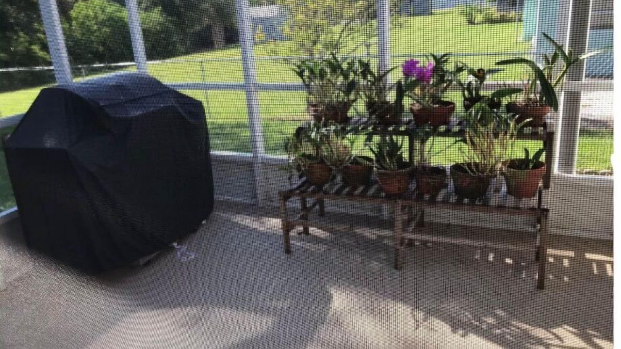 Photo of Patio Balcony in Port Charlotte