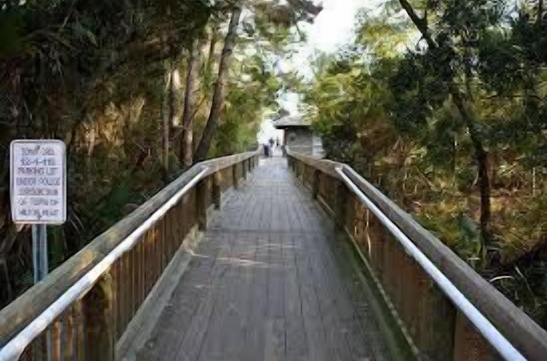 Photo of Others in Folly Field