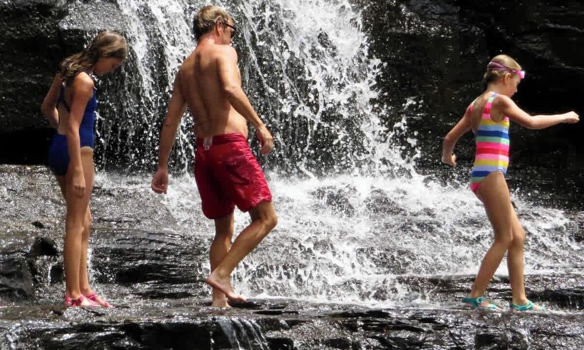 Photo of Others in Brevard