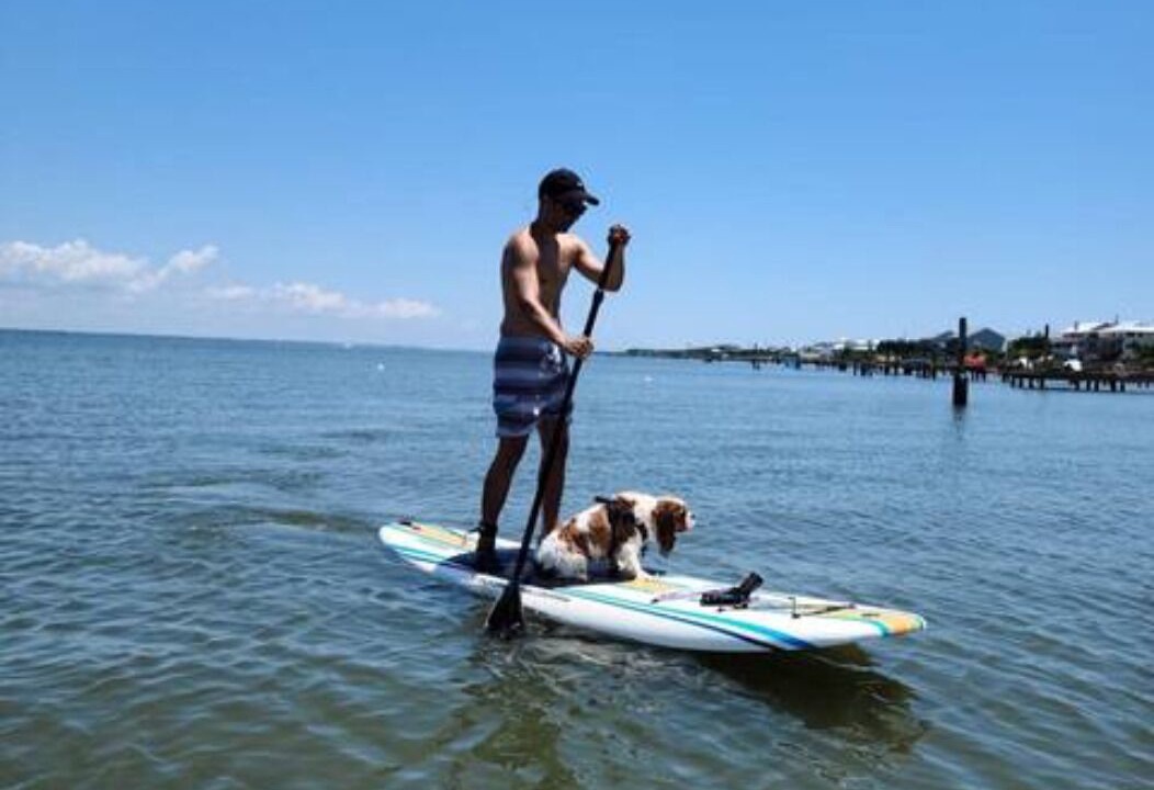Photo of Others in Emerald Isle