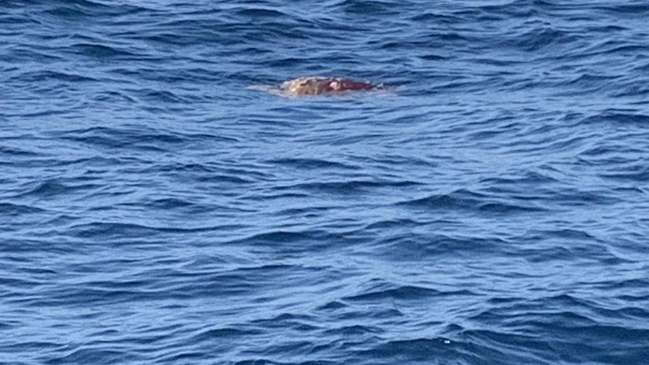 Photo of Others in Fort Pierce