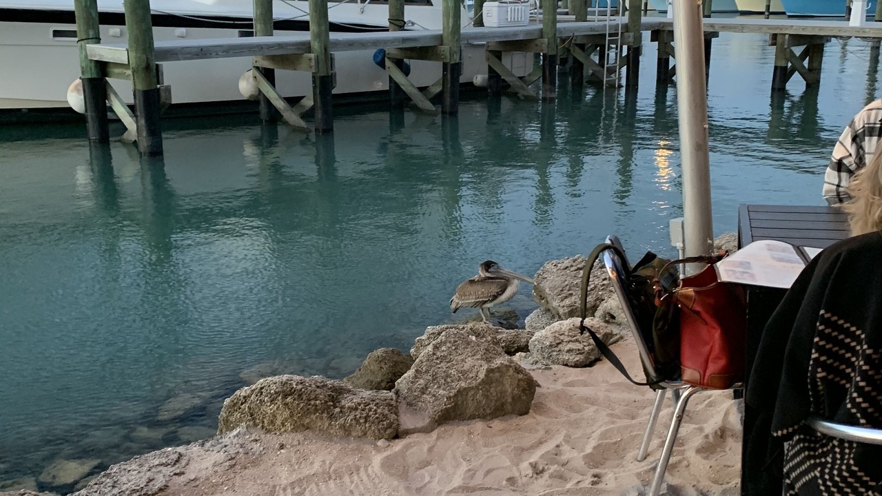 Photo of Others in Fort Pierce