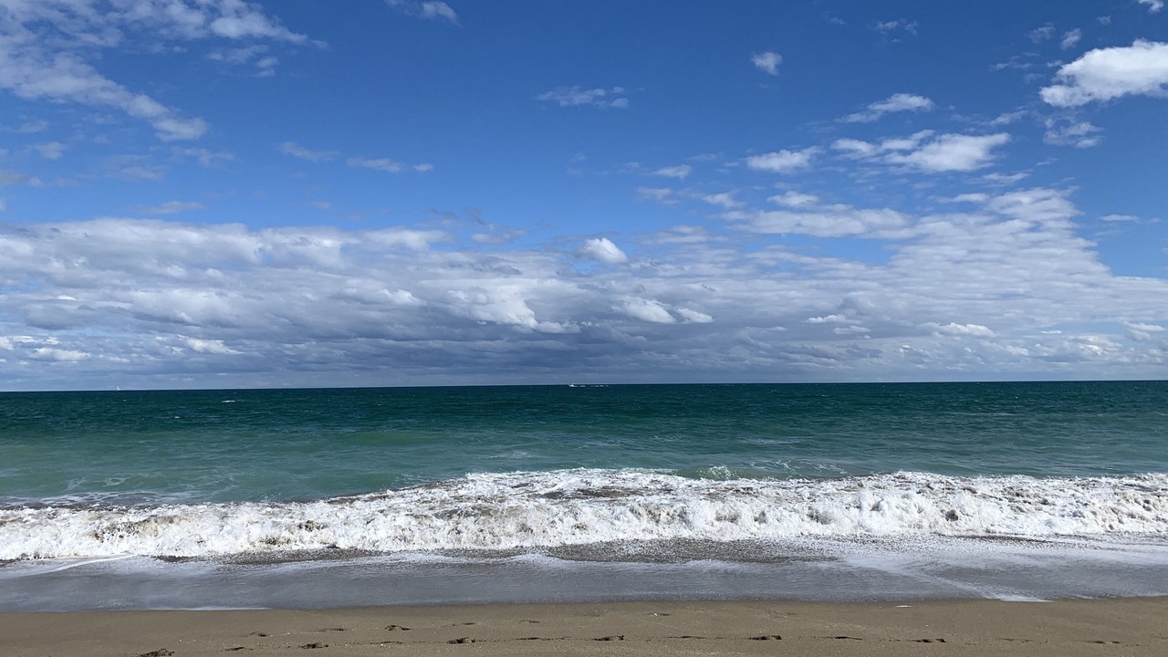 Photo of Others in Fort Pierce