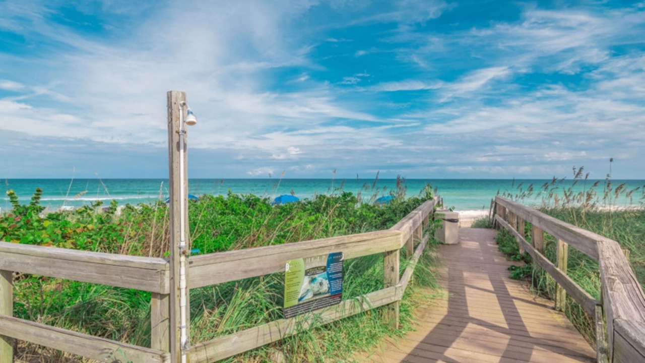 Photo of Others in Hutchinson Island South