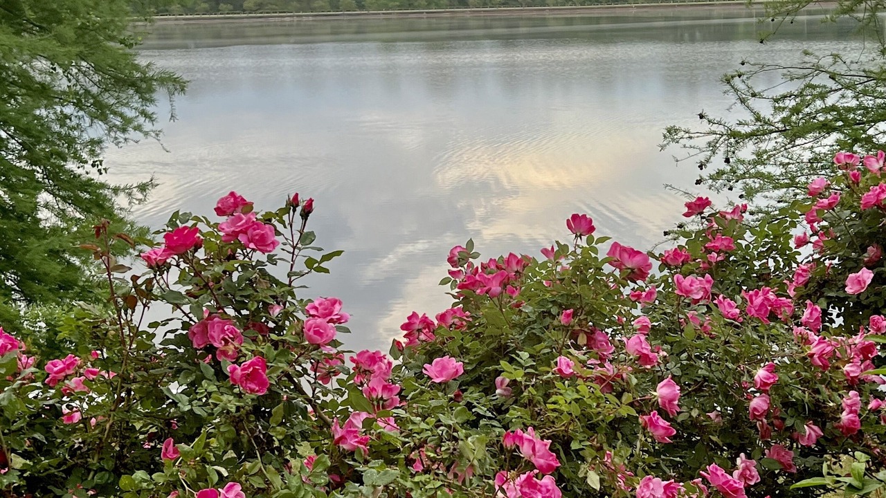 Photo of Outdoor in Whispering Pines