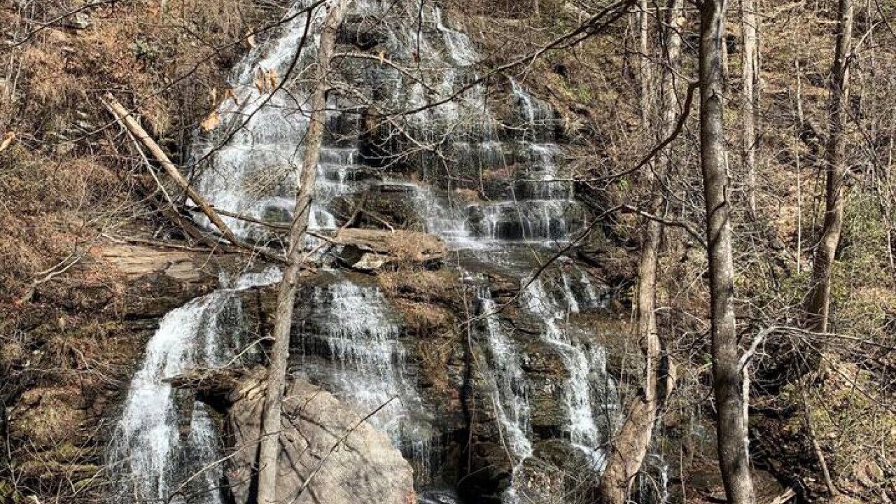Photo of Others in Seneca