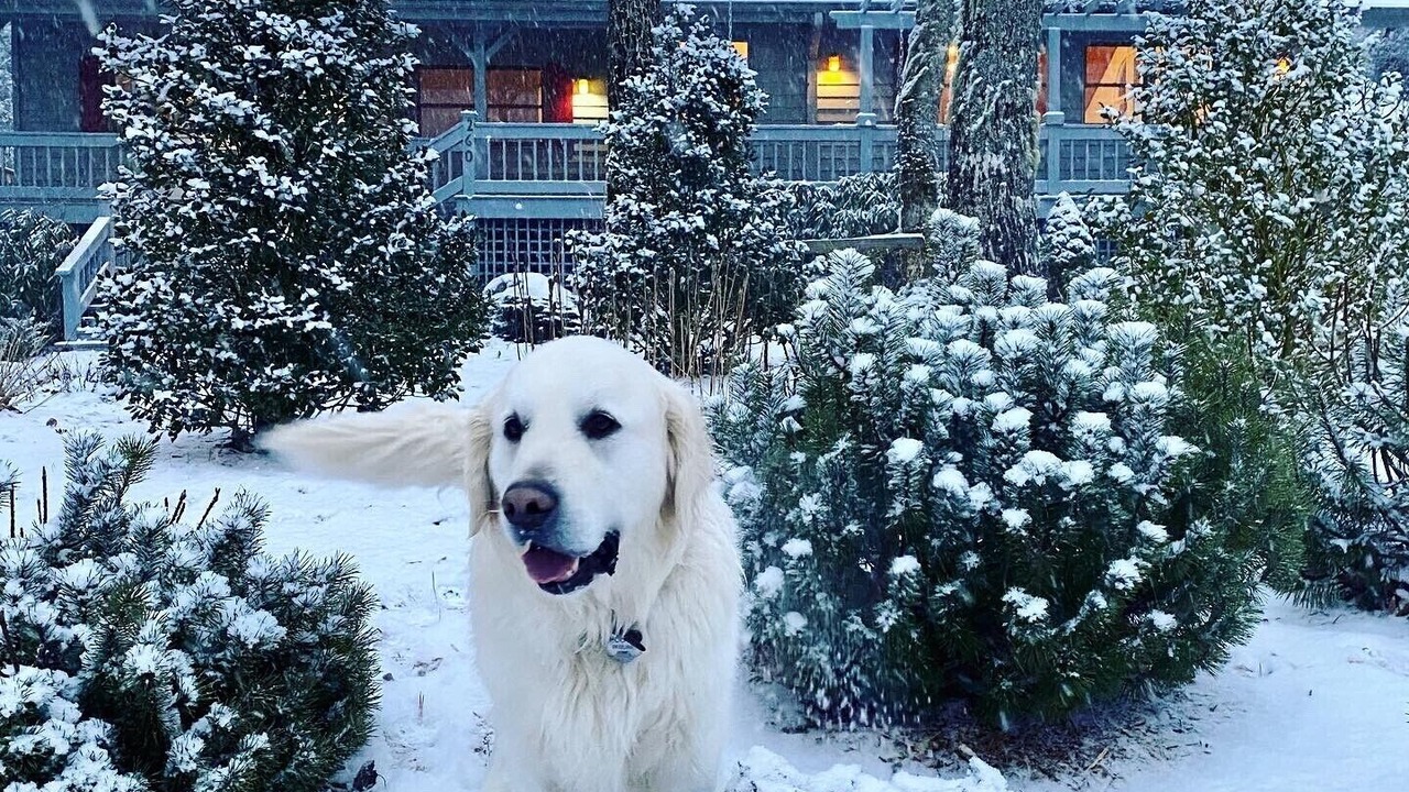 Photo of Outdoor in Highlands