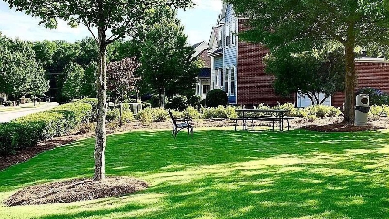 Photo of Outdoor in Evans