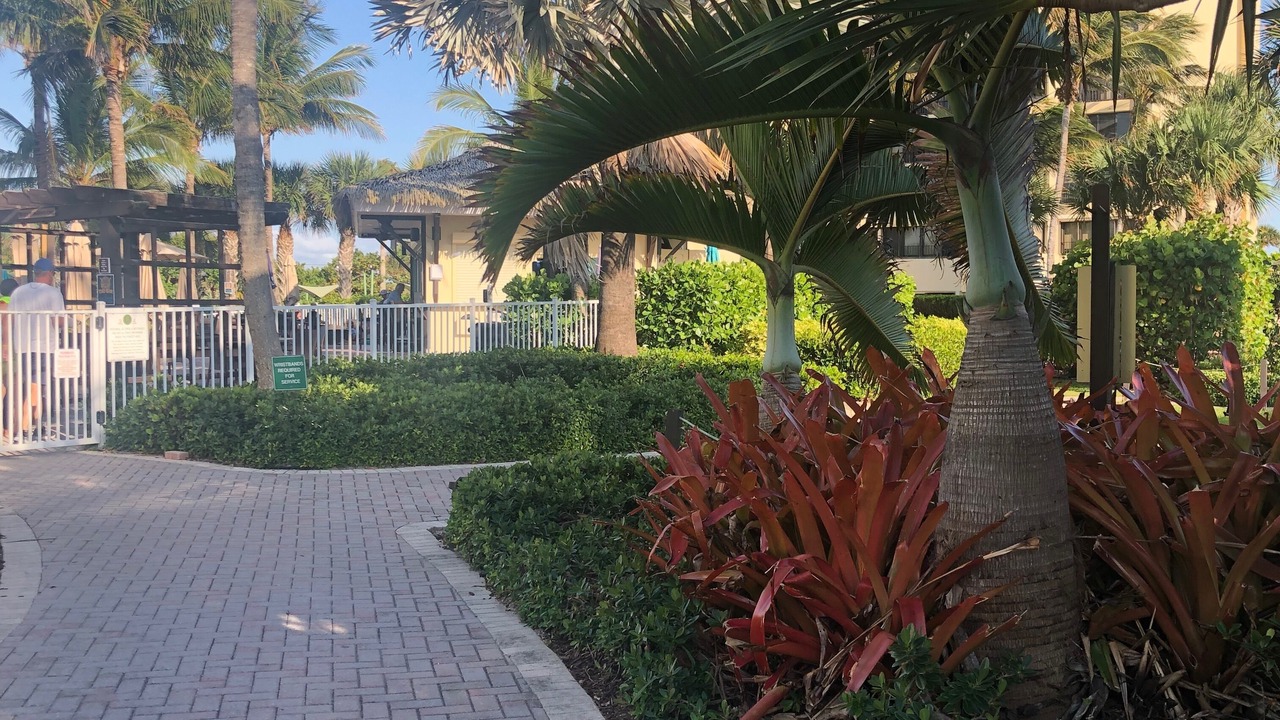 Photo of Outdoor in Fort Pierce