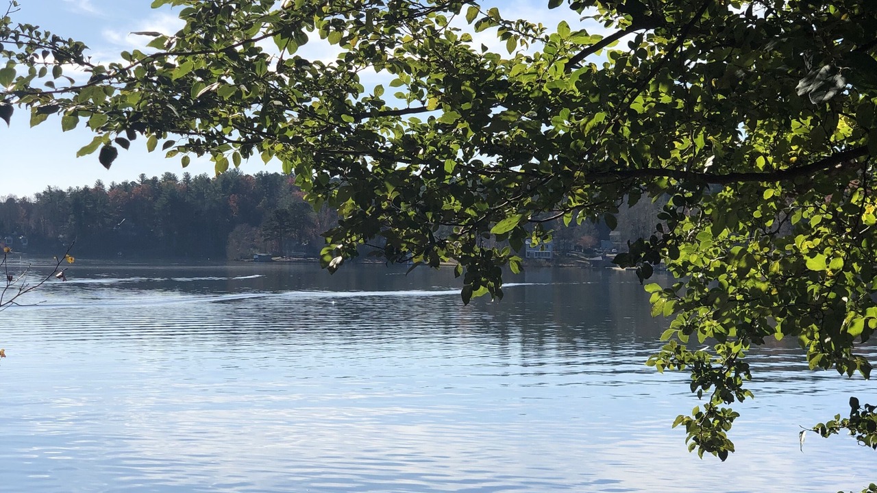 Photo of Others in Tamassee