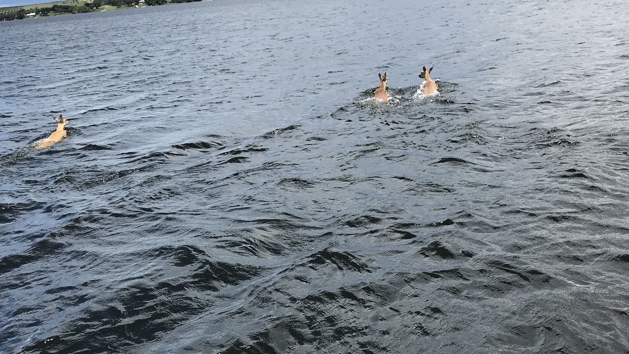 Photo of Outdoor in Crooked Lake Park