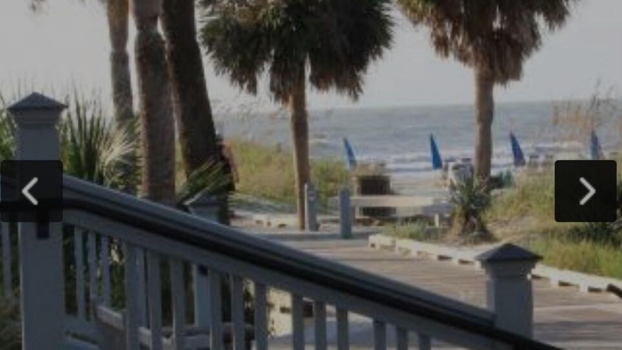 Photo of Outdoor in Hilton Head Island