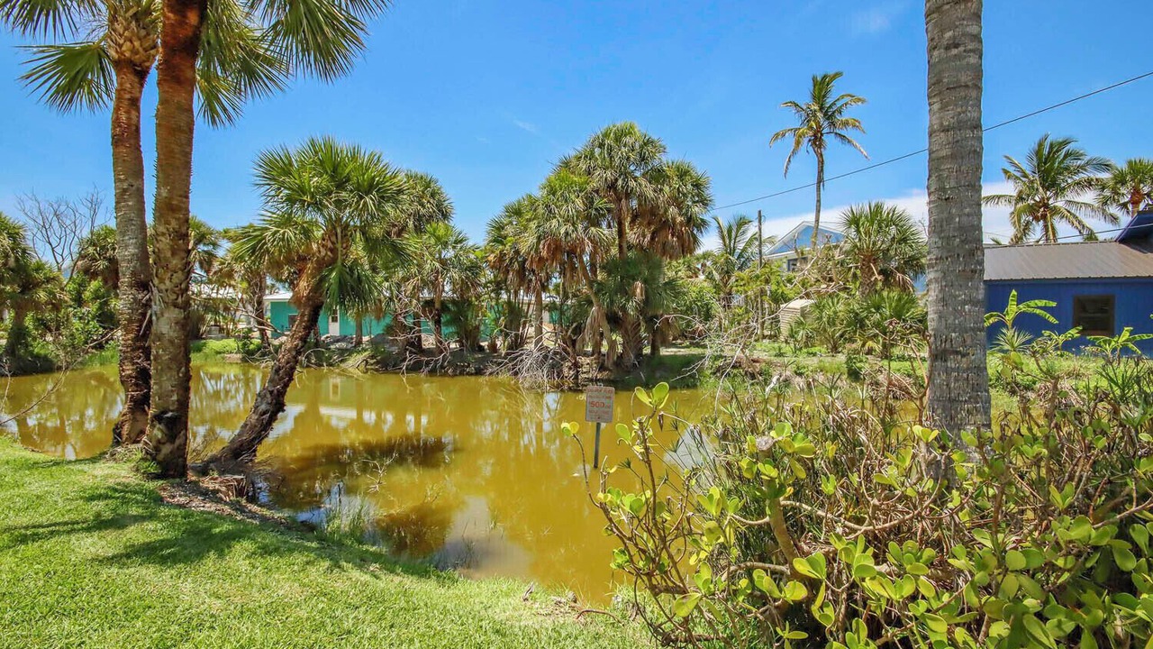 Photo of Outdoor in Tradewinds