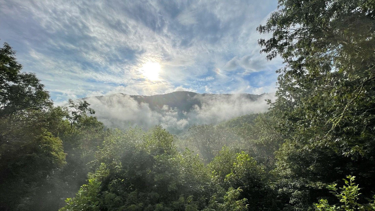 Photo of Outdoor in Whittier