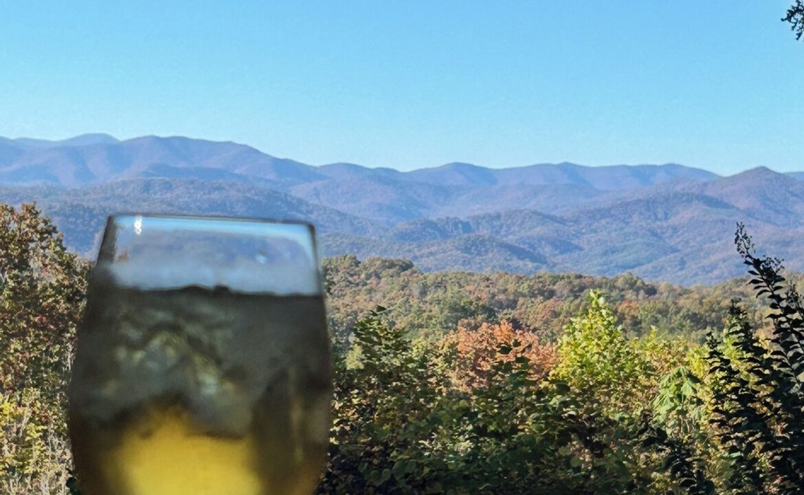 Photo of Others in Pisgah Forest