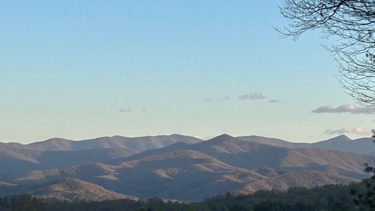 Photo of Others in Pisgah Forest