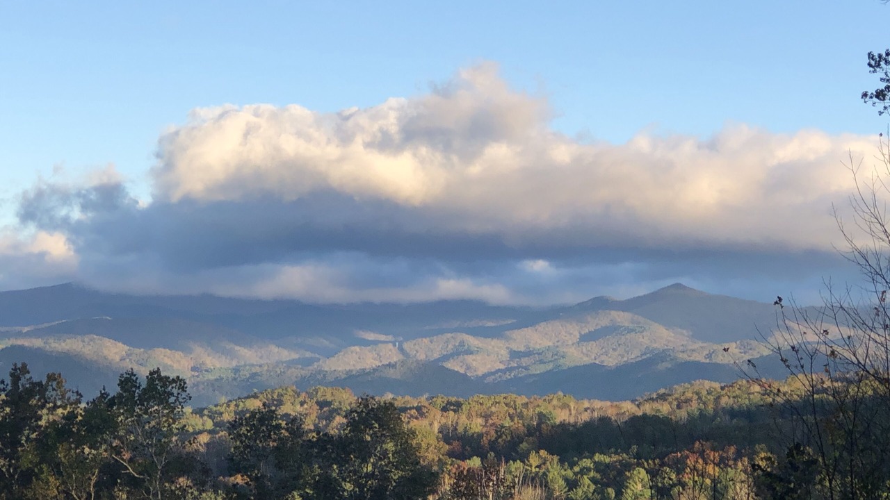 Photo of Others in Pisgah Forest