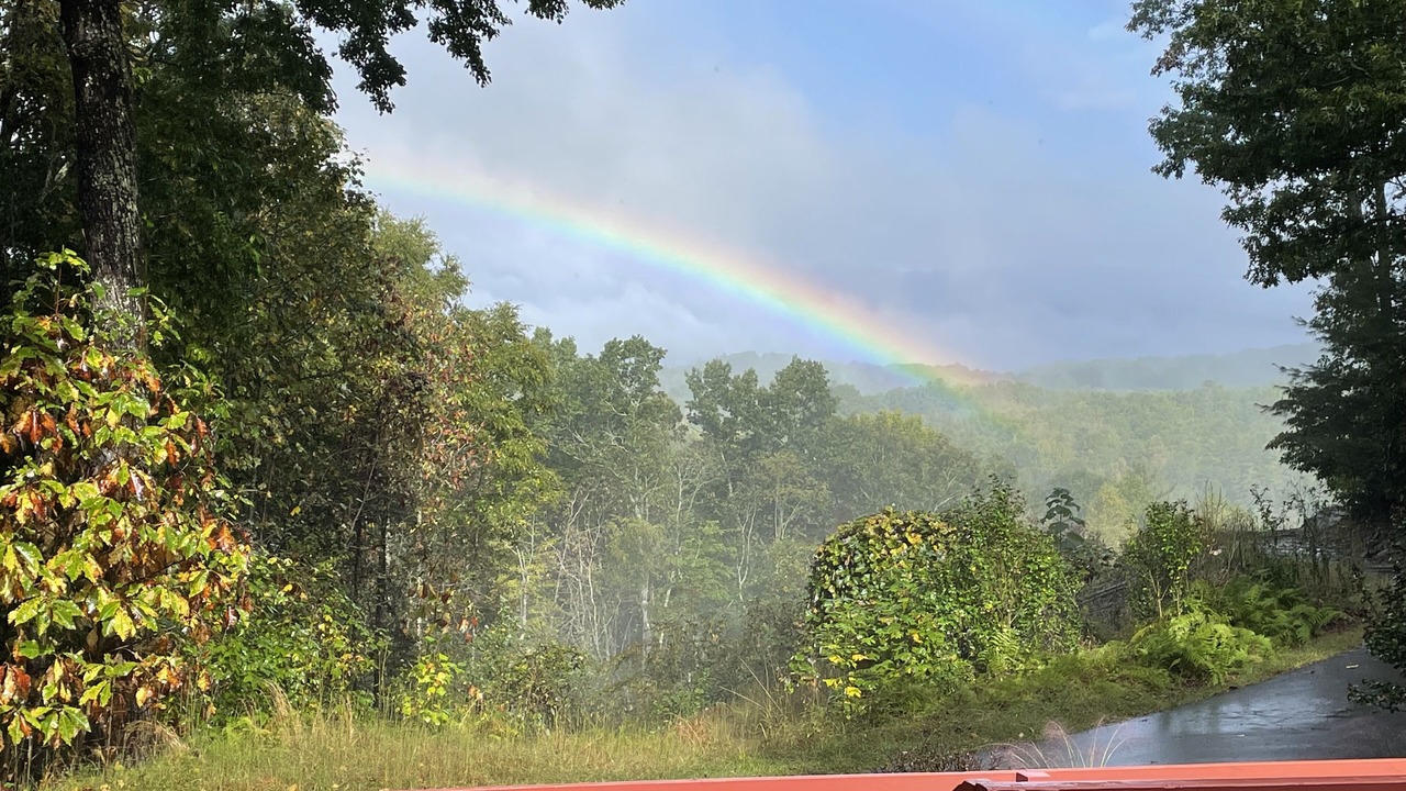 Photo of Outdoor in Pisgah Forest
