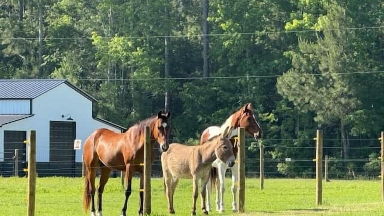 Photo of Others in Conway