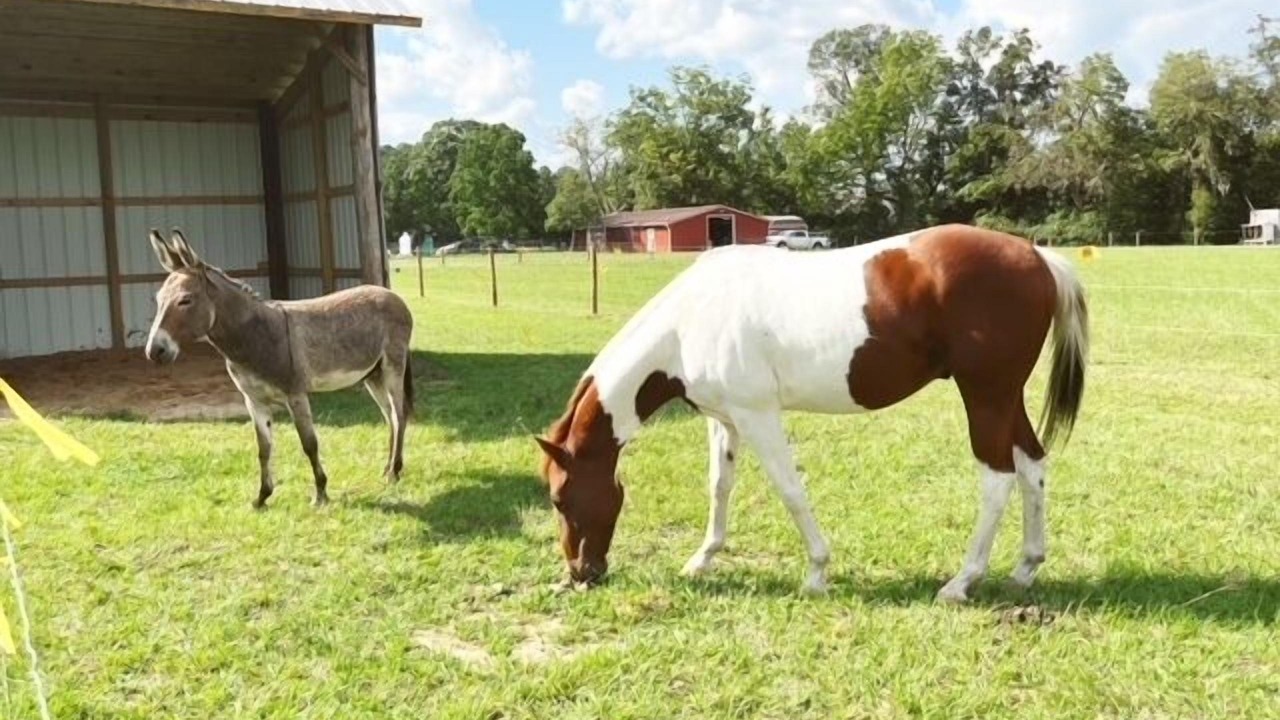 Photo of Others in Conway