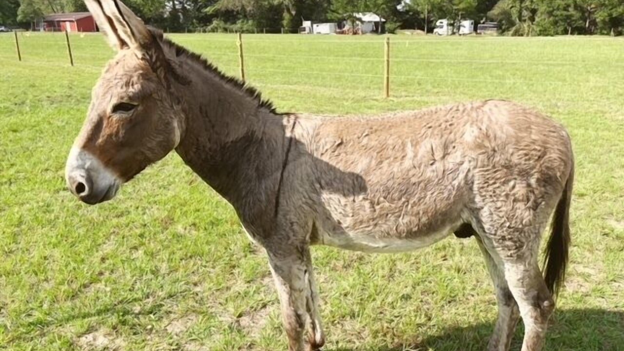 Photo of Others in Conway
