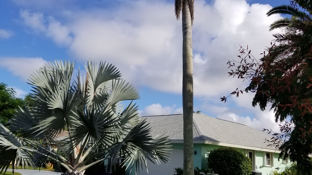 Photo of Outdoor in Lely Golf Estates