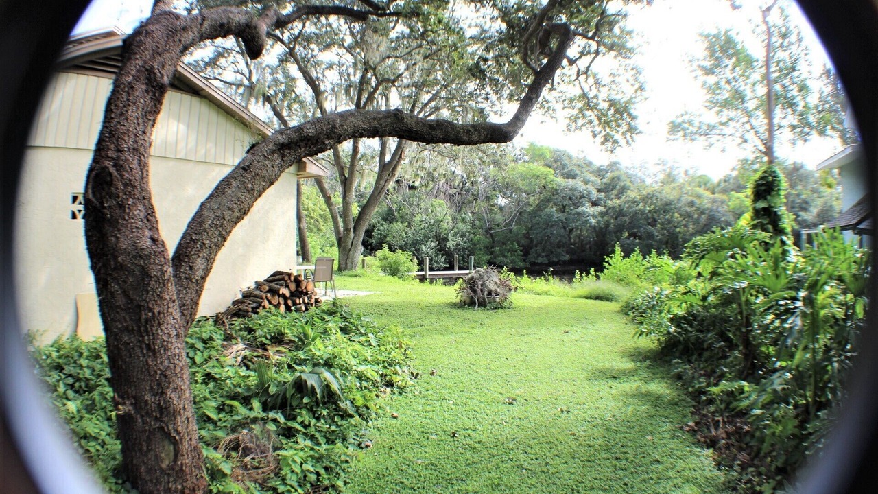 Photo of Outdoor in Riverview