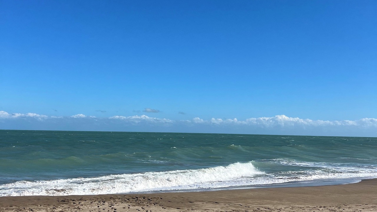 Photo of Others in Fort Pierce