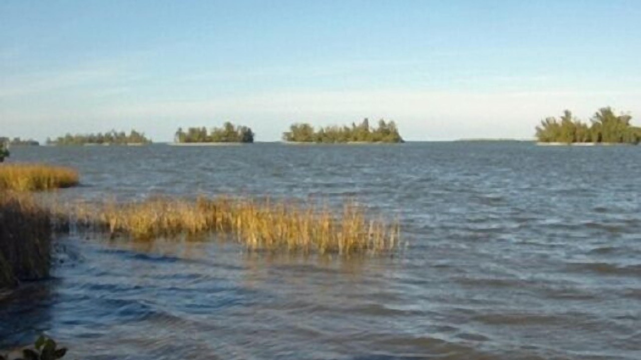 Photo of Others in Sebastian