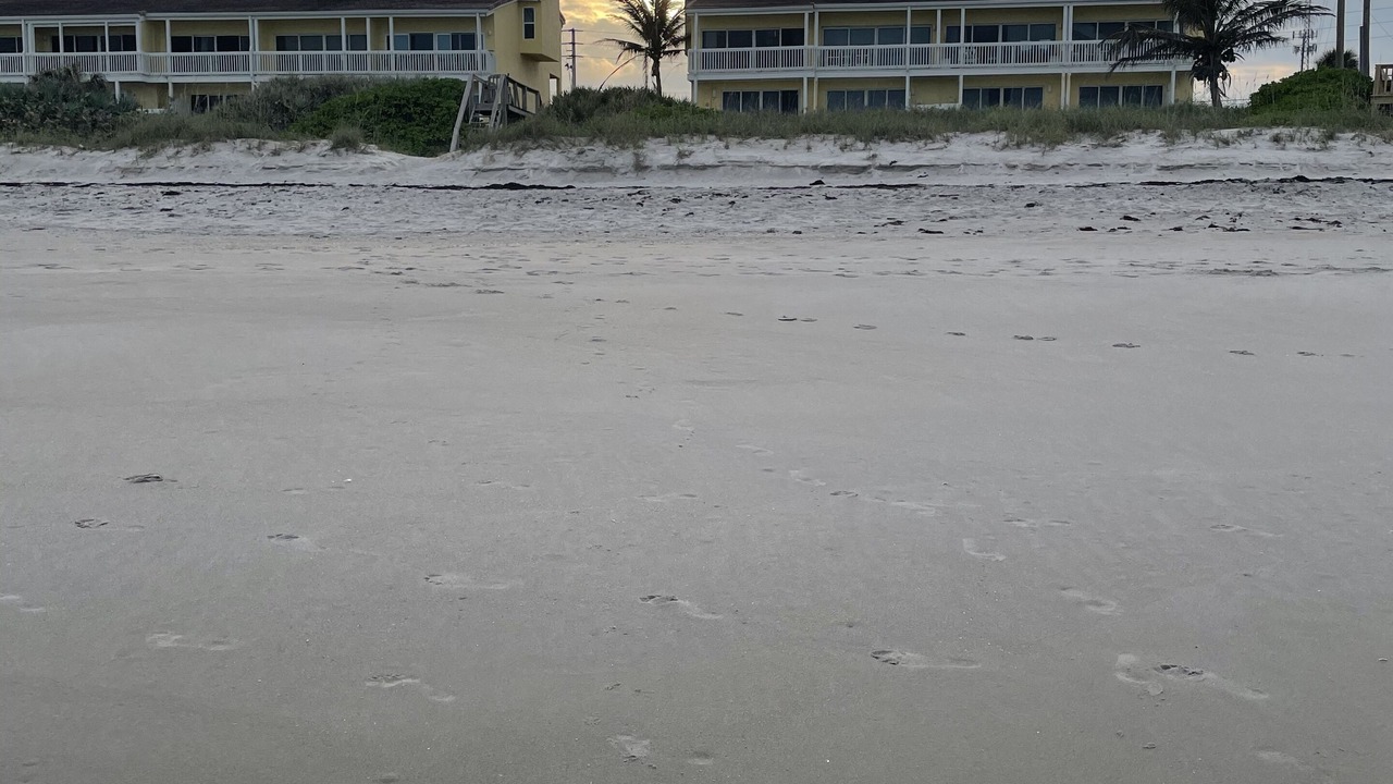Photo of Outdoor in Melbourne Beach