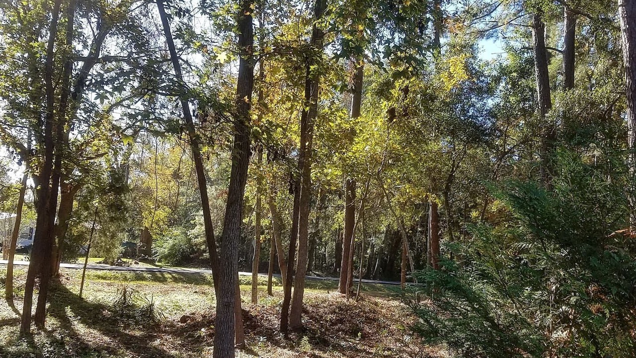 Photo of Outdoor in Beaufort