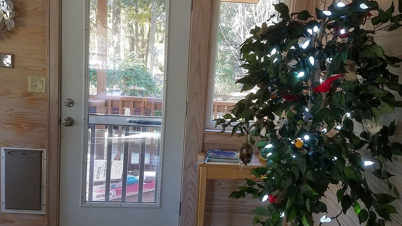 Photo of Others in Beaufort