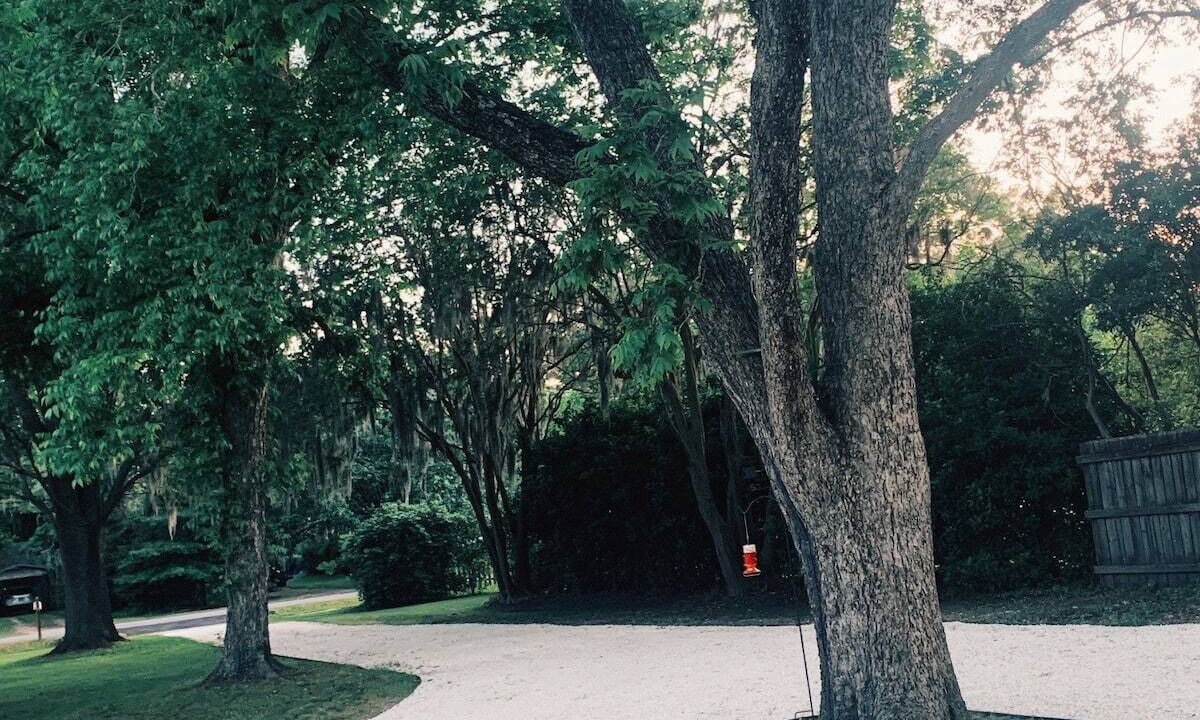 Photo of Others in Garden City