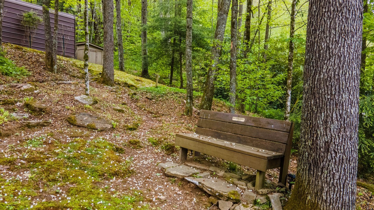 Photo of Others in Cranberry Falls