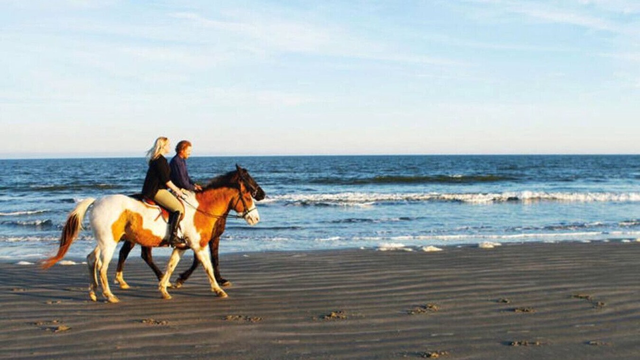 Photo of Others in Seabrook Island