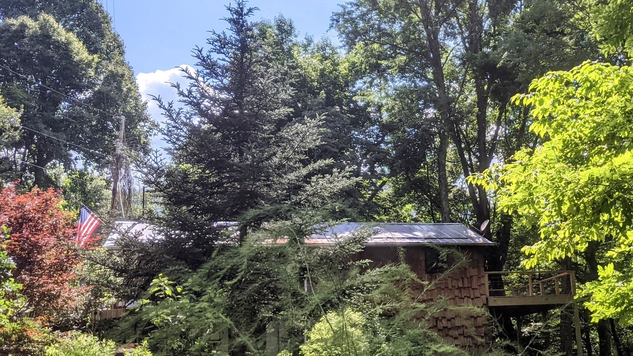 Photo of Outdoor in Glenville