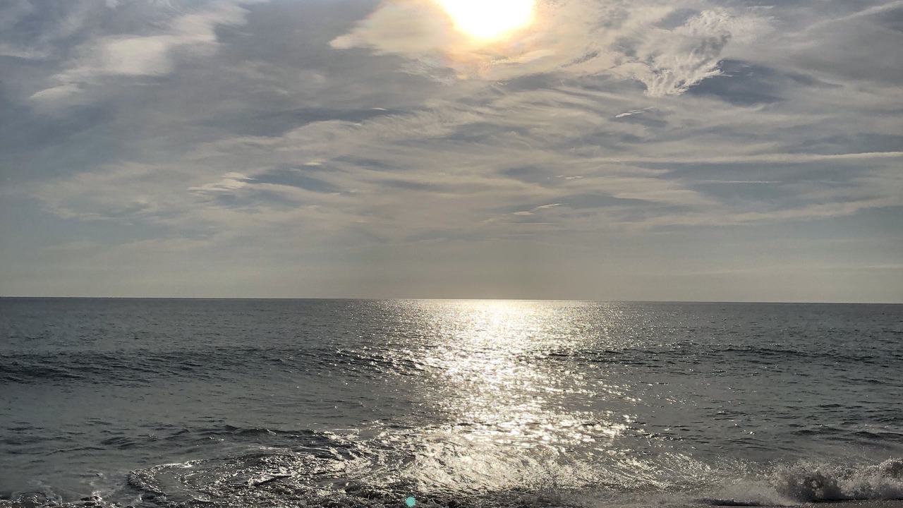 Photo of Others in South Beach