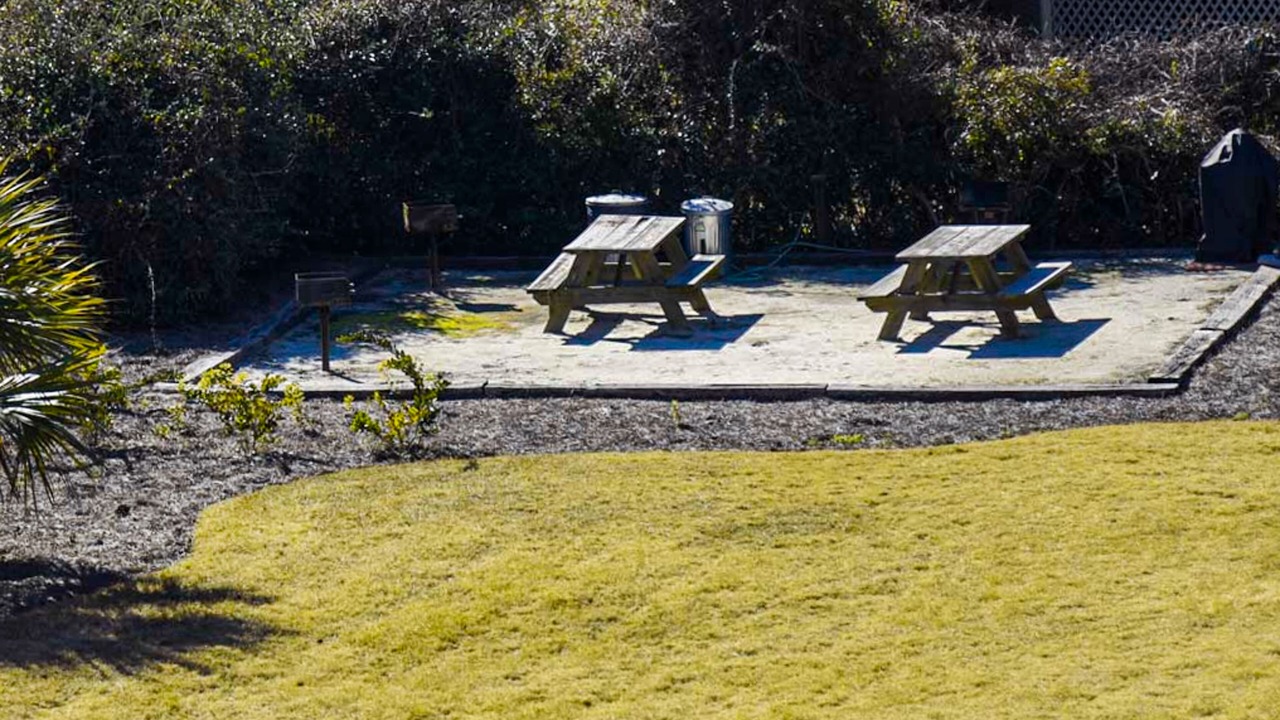 Photo of Others in Folly Field