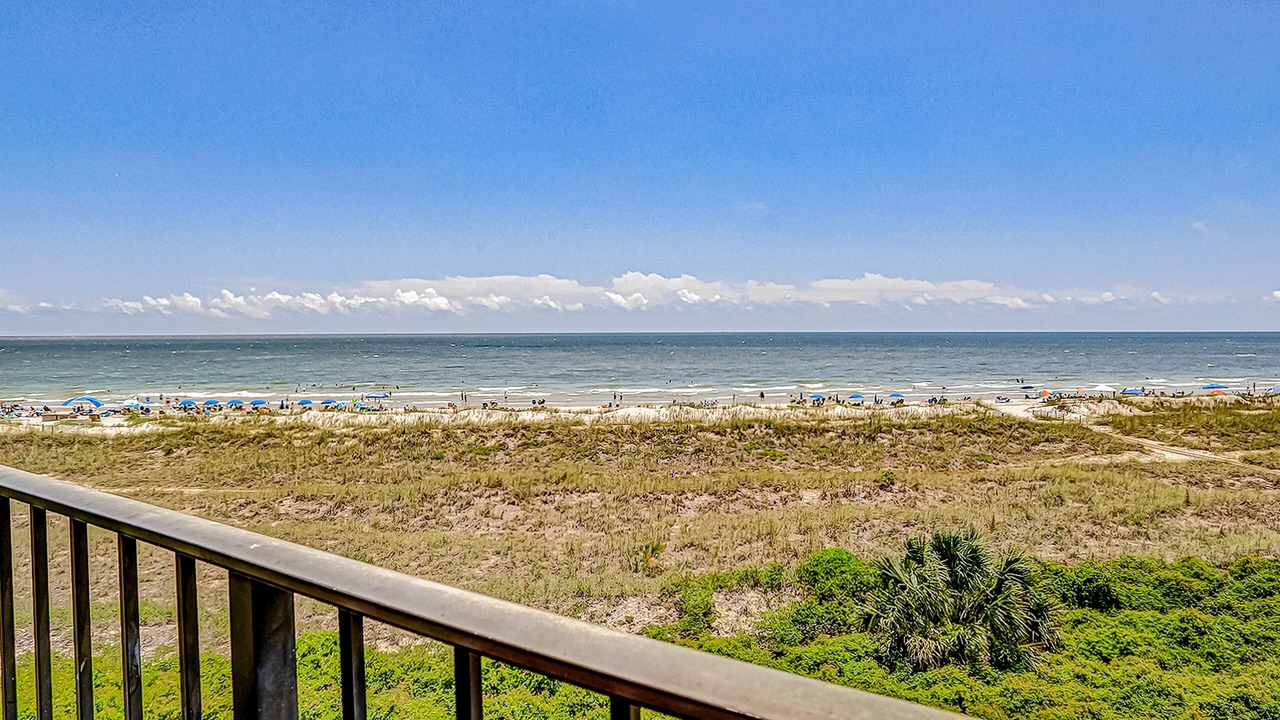 Photo of Outdoor in Folly Field